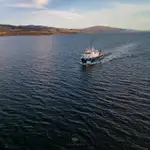 Kapal survei kanggo didol