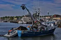 Kapal purse seiner kanggo didol