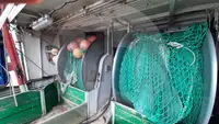 Kapal pengangkut iwak urip kanggo didol