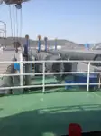 Kapal dredger kanggo didol