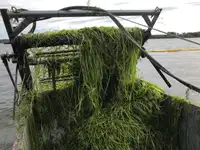 Kapal tanker air bilga kanggo didol