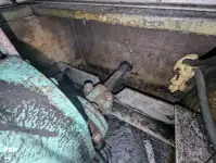 Kapal pesiar-feri kanggo didol