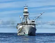Purse seiner kanggo didol