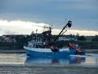 Kapal purse seiner kanggo didol
