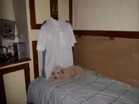 Kapal patroli kanggo didol