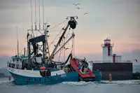 Kapal purse seiner kanggo didol