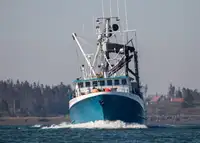 Kapal purse seiner kanggo didol