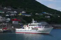 Pembawa akeh kanggo didol