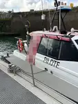 Kapal pilot kanggo didol