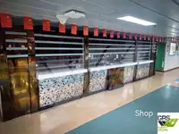 Kapal Ro-Ro kanggo didol