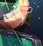Kapal pilot kanggo didol