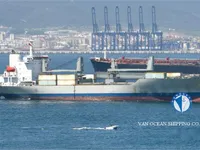Kapal reefer kanggo didol