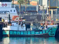 Purse seiner kanggo didol