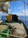 Purse seiner kanggo didol