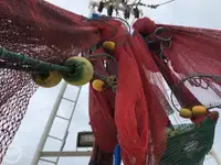 Kapal trawler kanggo didol