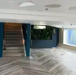 Kapal pesiar-feri kanggo didol