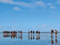 Tongkang kanggo didol