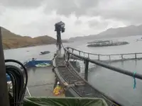 Kapal kerja kanggo didol