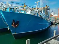 Trawler kanggo didol