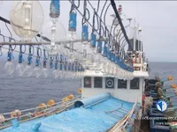 Kapal jigger cumi-cumi kanggo didol