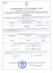 Kapal Ro-Ro kanggo didol