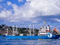 Kapal reefer kanggo didol