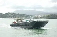 Kapal pendaratan, tangki kanggo didol