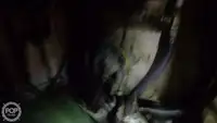 Kapal trawler kanggo didol
