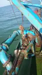 Kapal dredger kanggo didol