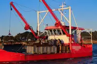 Kapal kerja kanggo didol