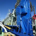 Purse seiner kanggo didol