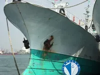 Kapal longliner kanggo didol