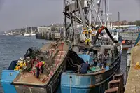 Kapal purse seiner kanggo didol