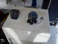 Kapal trawler kanggo didol