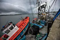 Kapal purse seiner kanggo didol