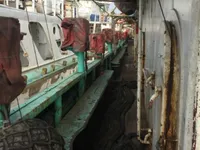 Kapal jigger cumi-cumi kanggo didol