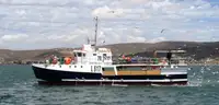 Purse seiner kanggo didol