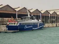 Kapal pesiar kanggo didol