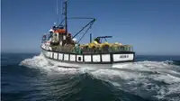 Trawler kanggo didol