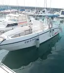 Kapal pesiar kanggo didol