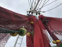 Kapal trawler kanggo didol