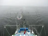 Kapal kontainer kanggo didol