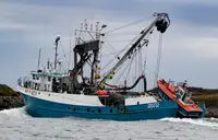 Kapal purse seiner kanggo didol