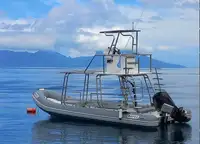 Perahu inflatable kaku kanggo didol