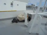 Kapal patroli kanggo didol