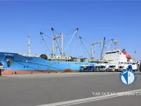 Kapal reefer kanggo didol
