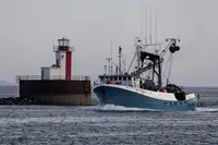 Kapal purse seiner kanggo didol