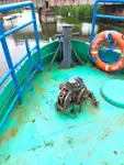Kapal kerja kanggo didol