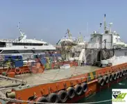 Kapal layanan ladang angin kanggo didol