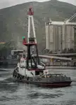 Towboat kanggo didol